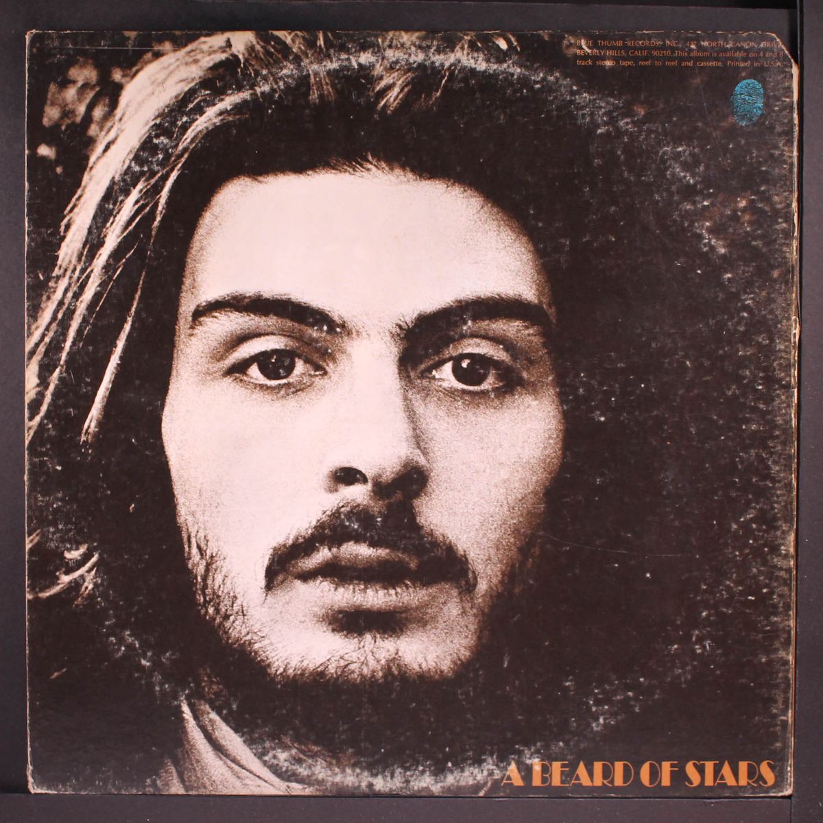 a beard of stars by TYRANNOSAURUS REX