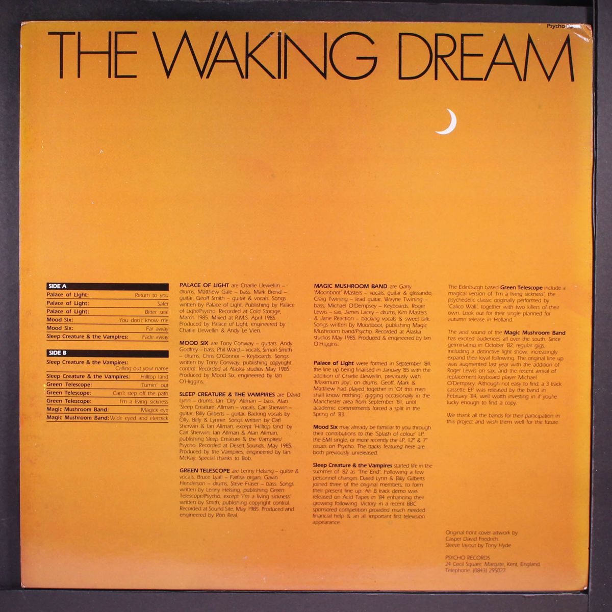 the waking dream by VARIOUS