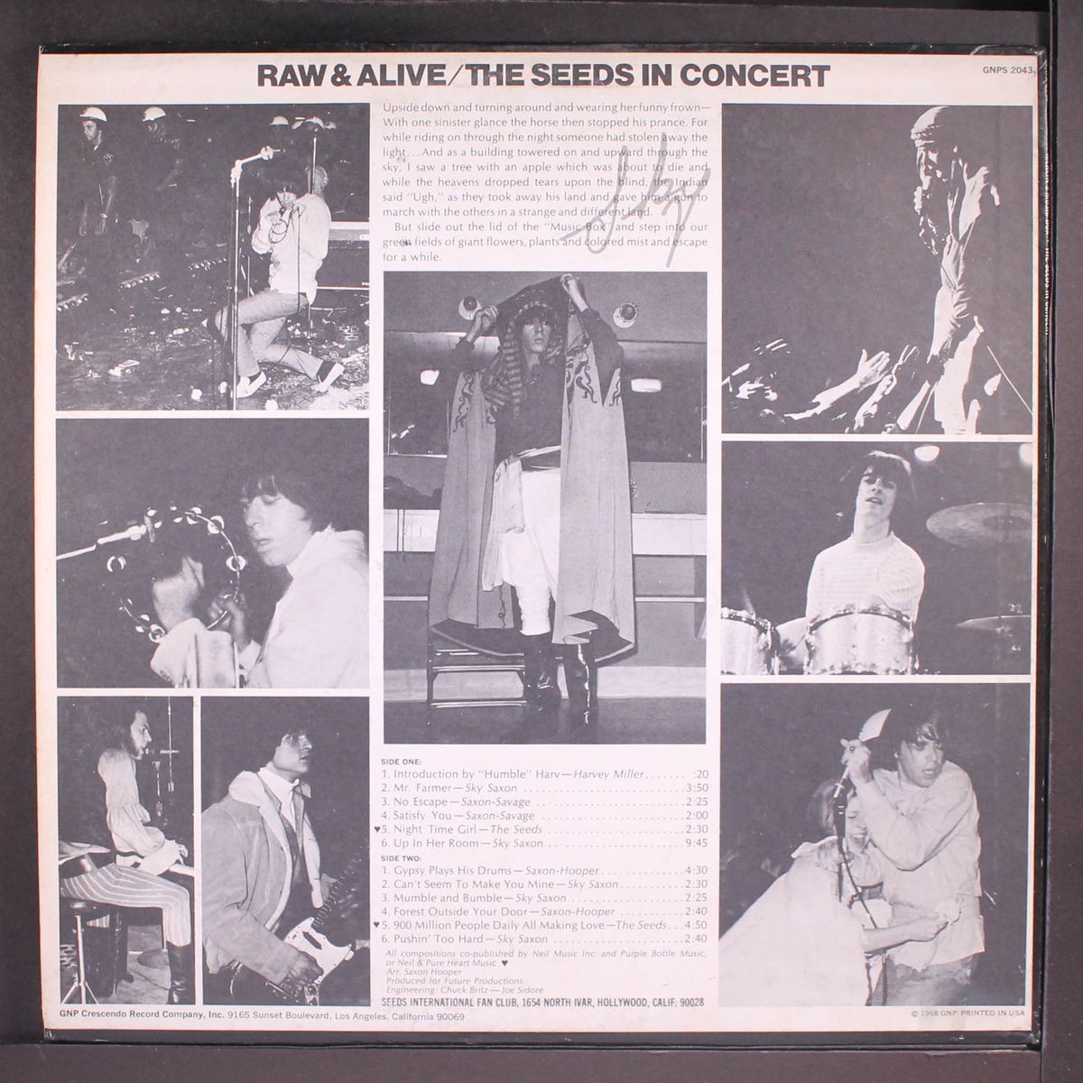 raw & alive by SEEDS
