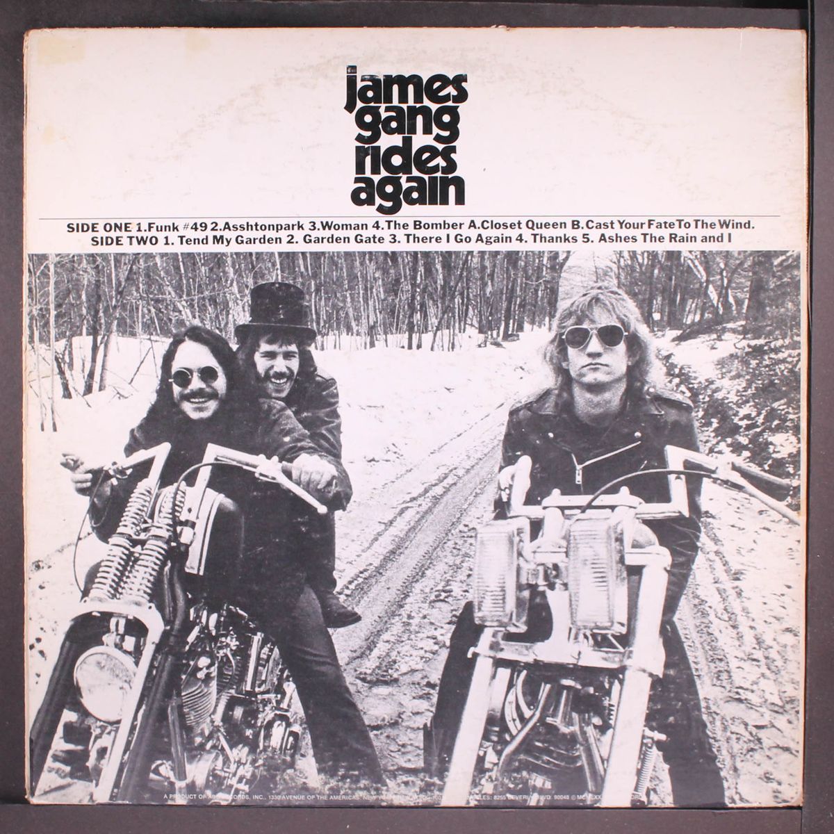 james gang rides again by JAMES GANG
