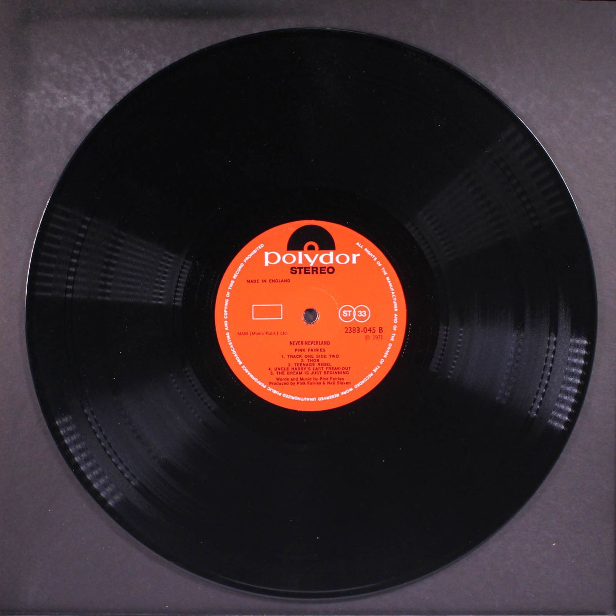 never never land by PINK FAIRIES