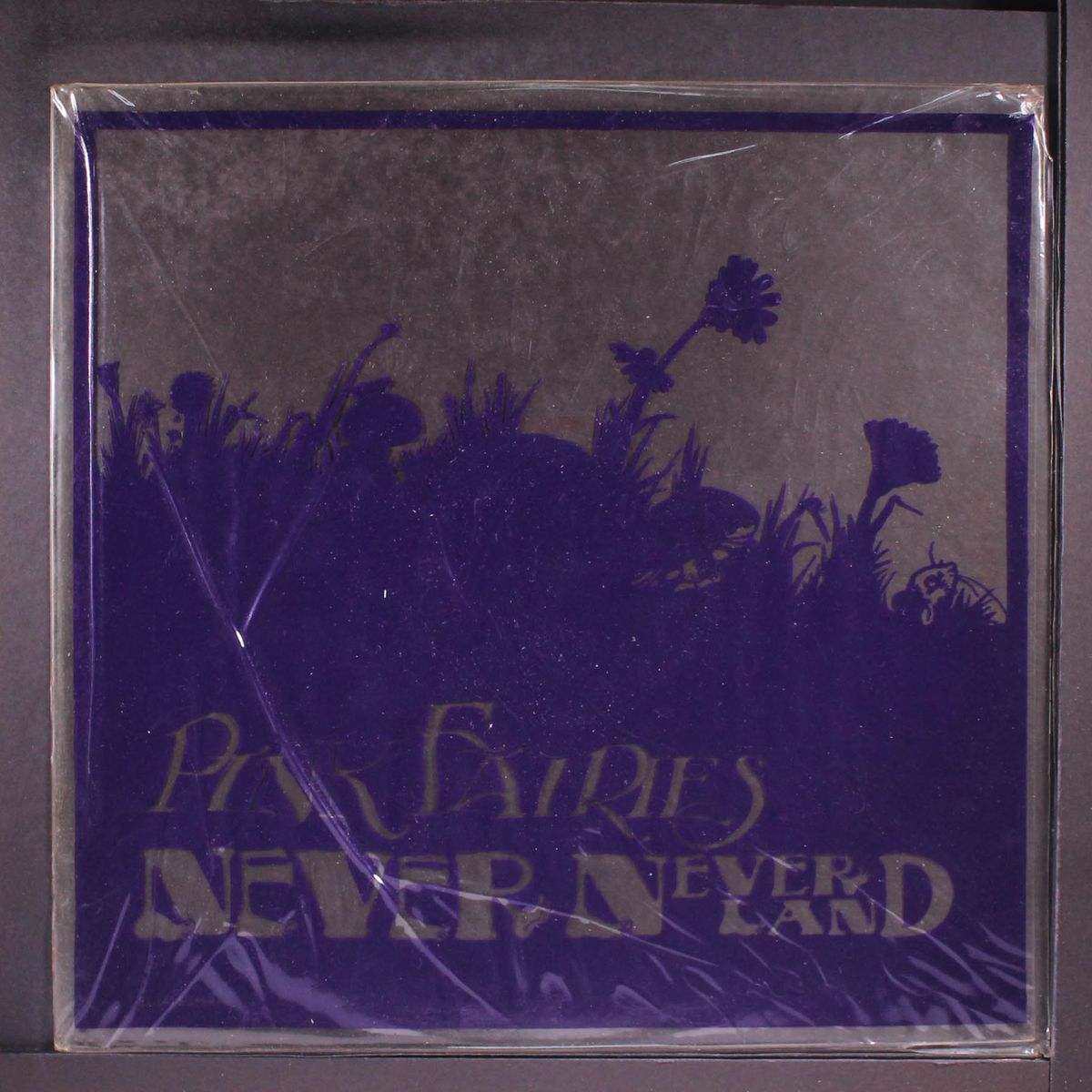 never never land by PINK FAIRIES