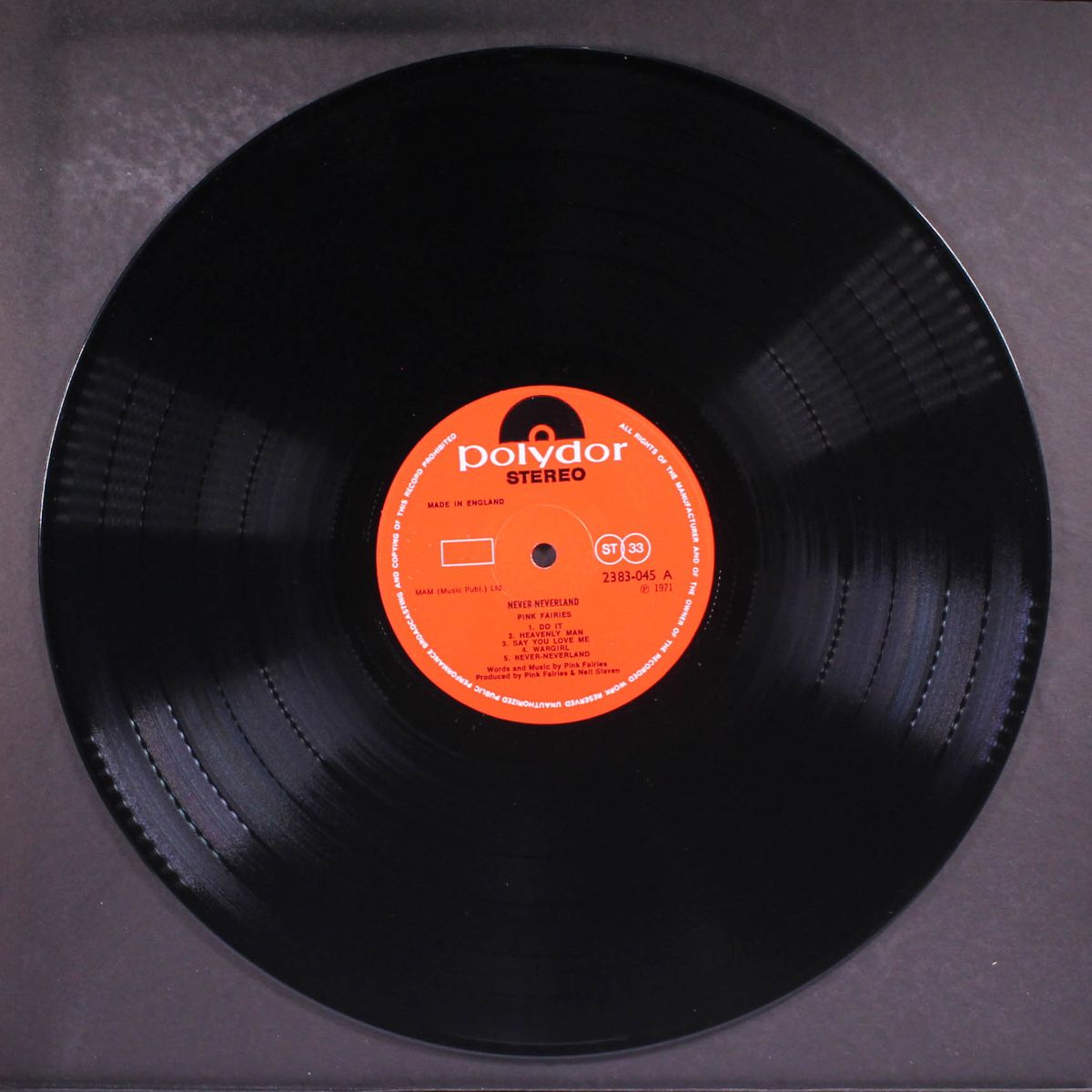 never never land by PINK FAIRIES