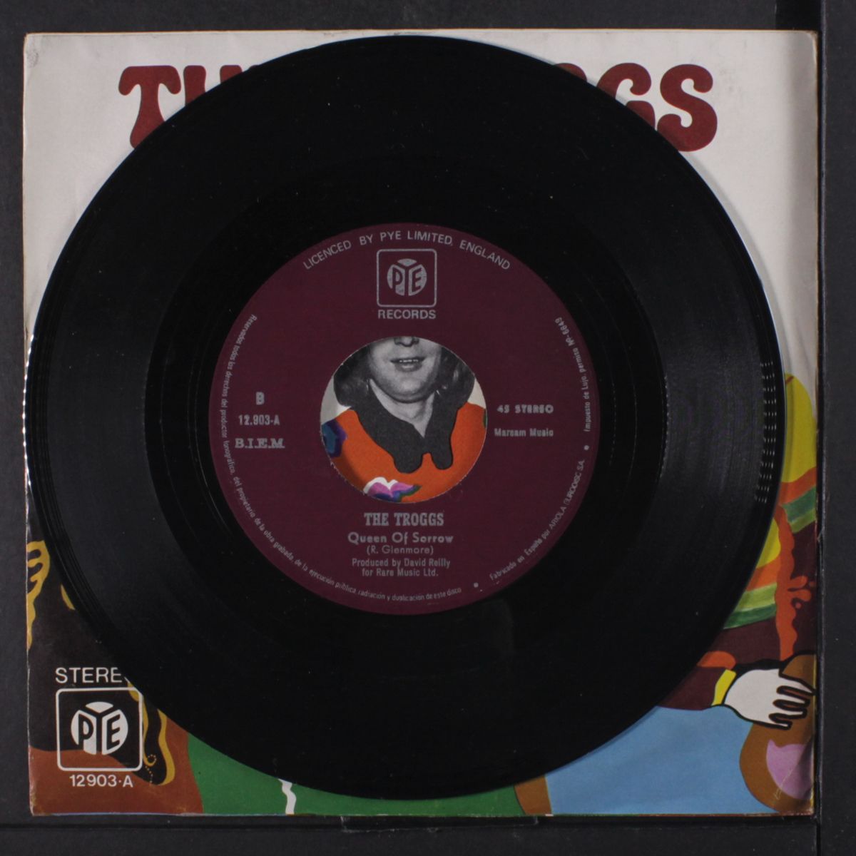 listen to the man / queen of sorrow by TROGGS
