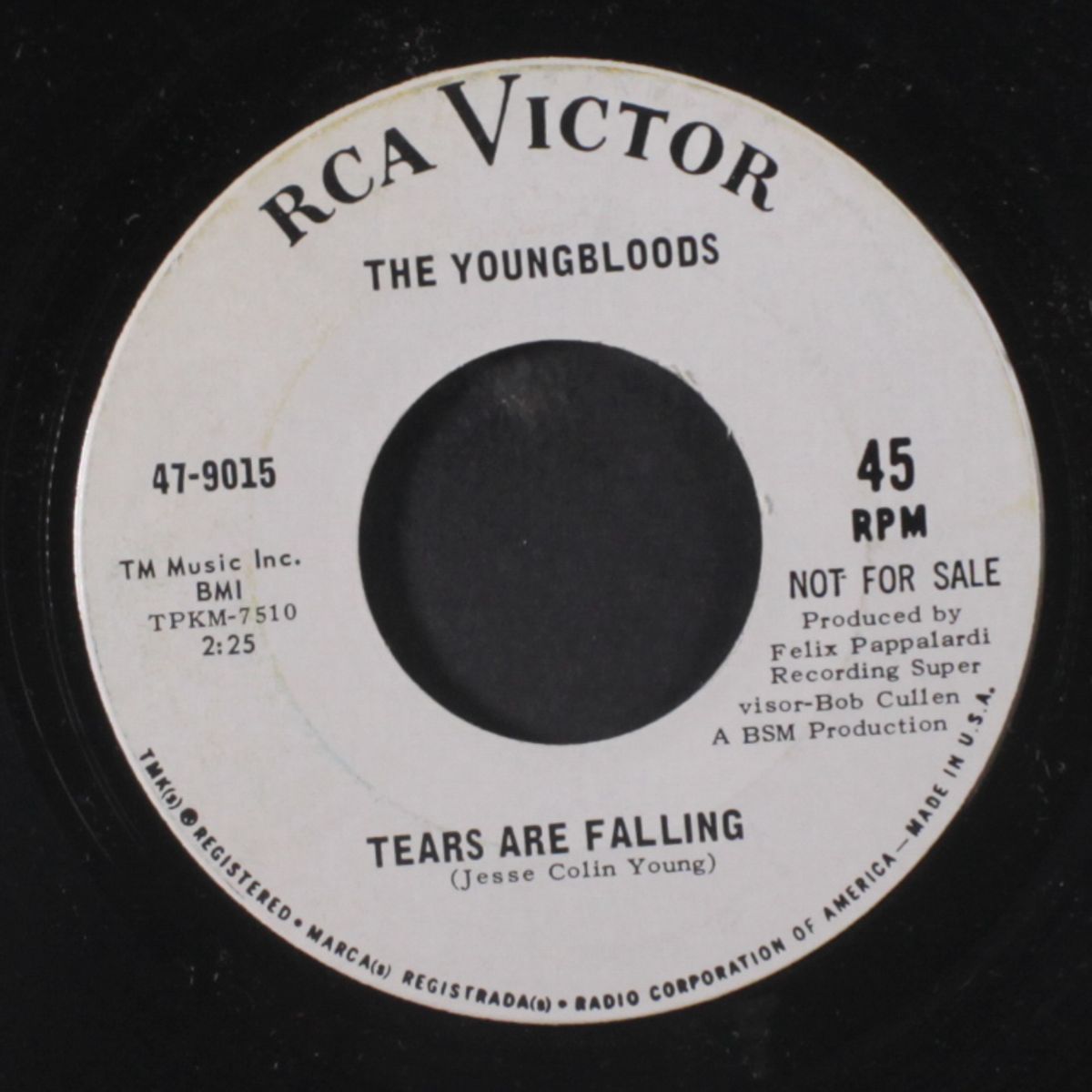 grizzly bear / tears are falling by YOUNGBLOODS