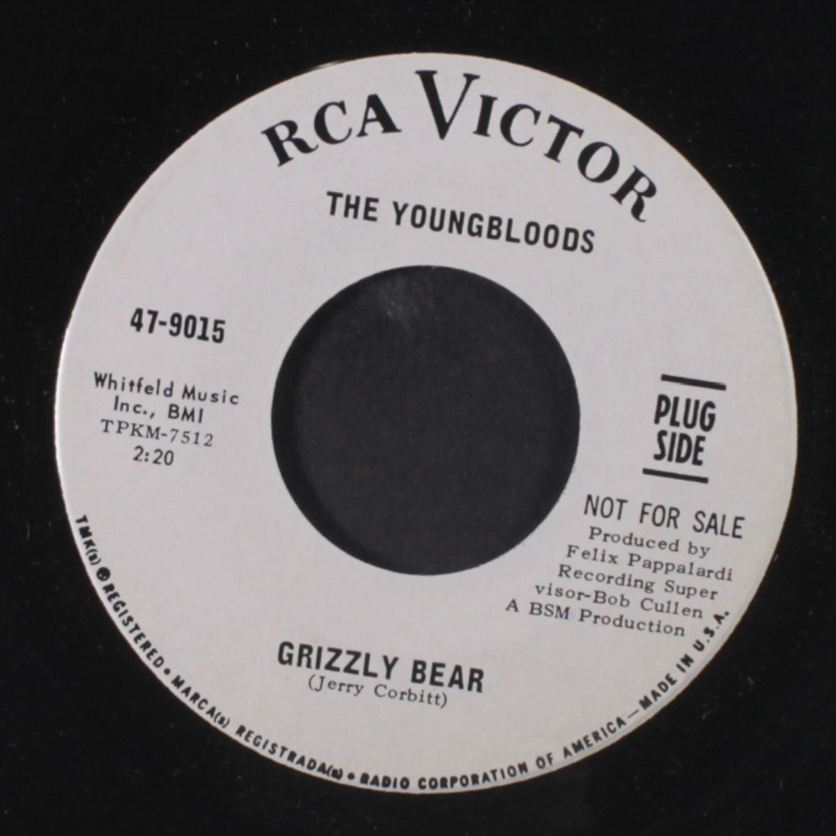 grizzly bear / tears are falling by YOUNGBLOODS