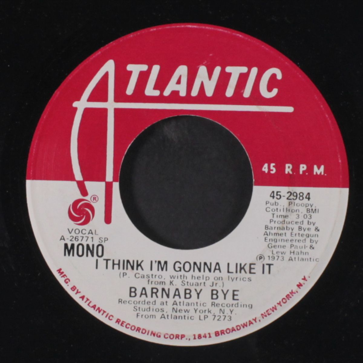 i think i'm gonna like it / mono by BARNABY BYE