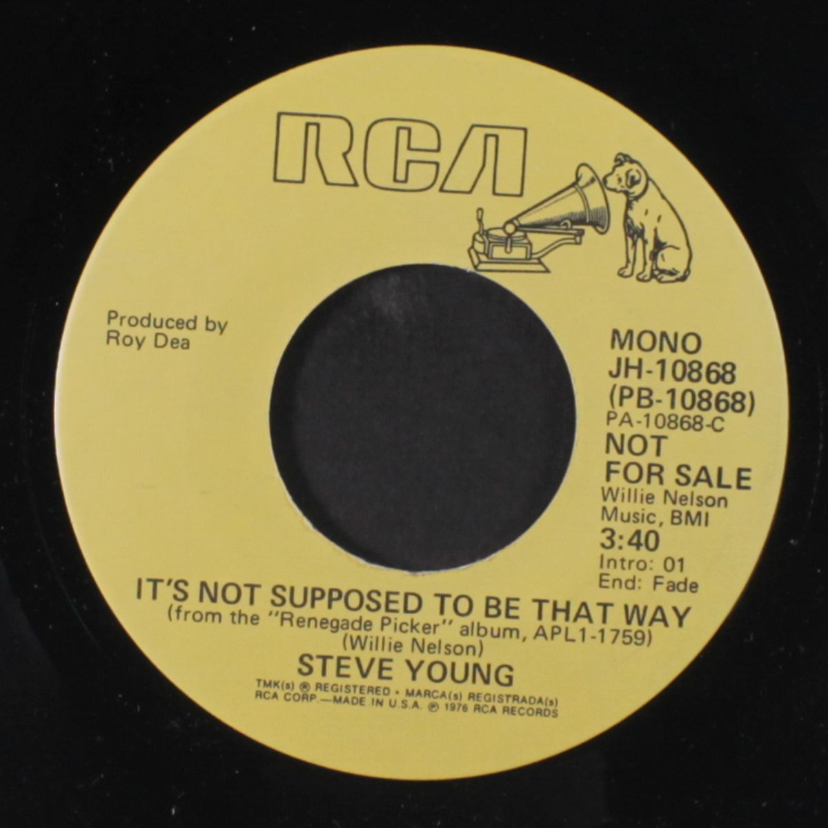 it's not supposed to be that way / mono by STEVE YOUNG