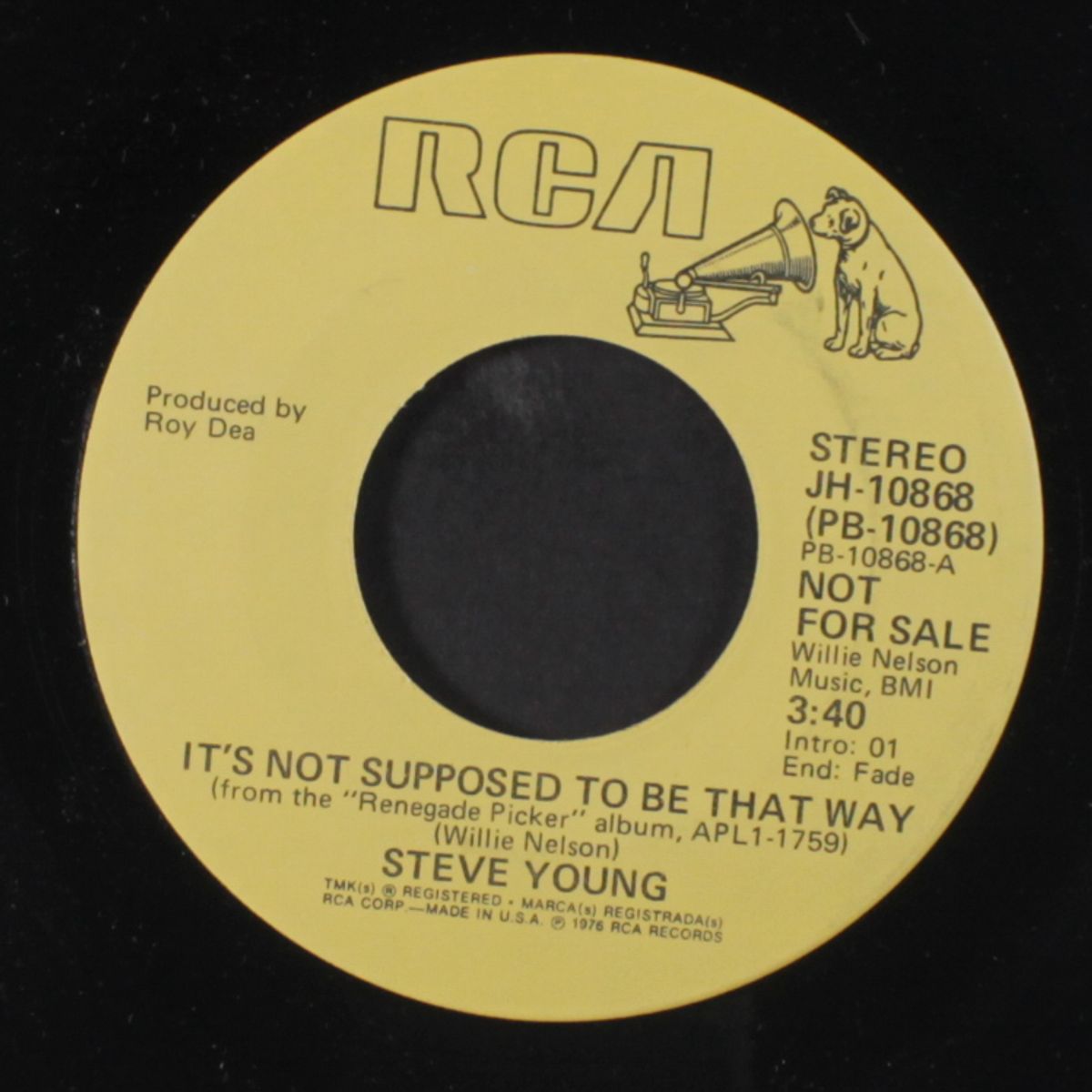 it's not supposed to be that way / mono by STEVE YOUNG