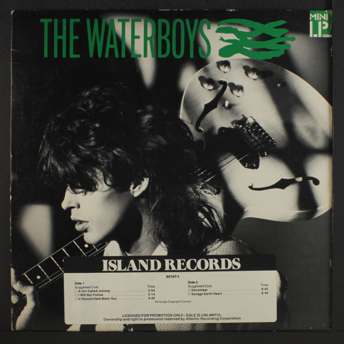 the waterboys (mini-lp) by WATERBOYS