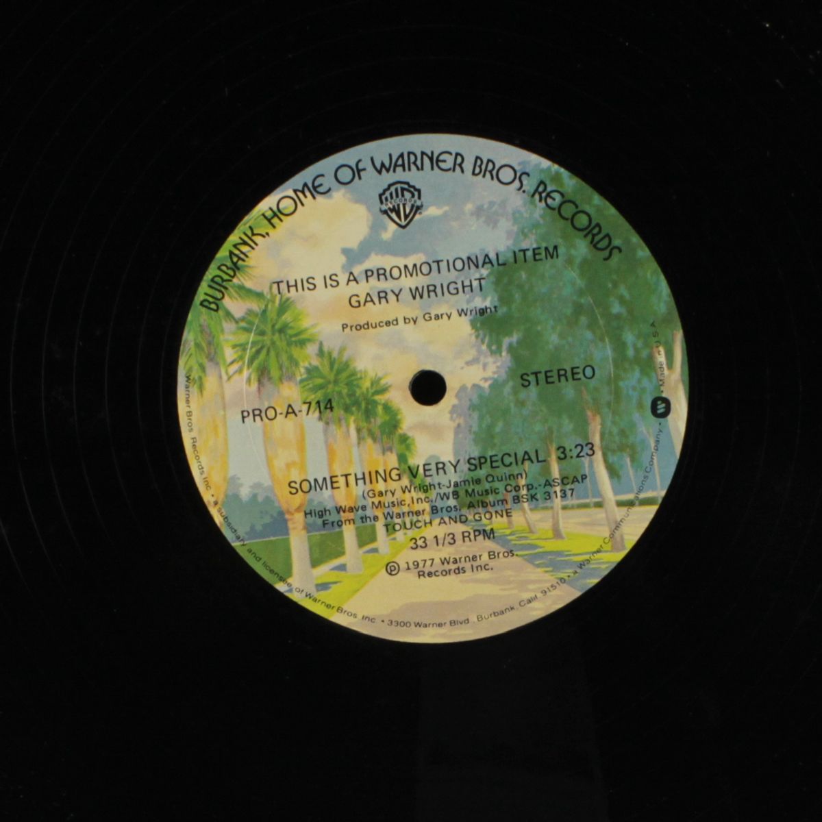 something very special / blank by GARY WRIGHT