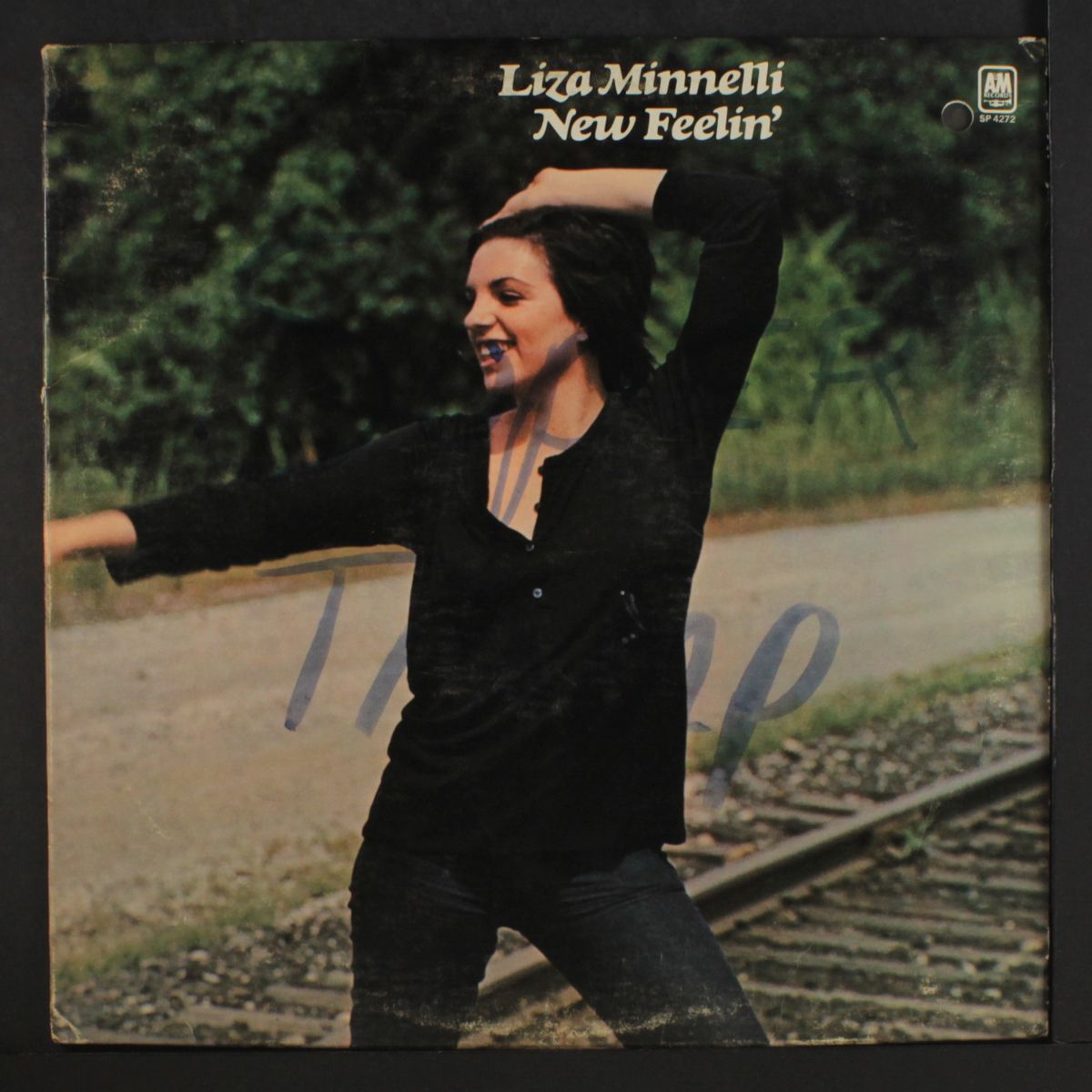 new feelin' by LIZA MINNELLI