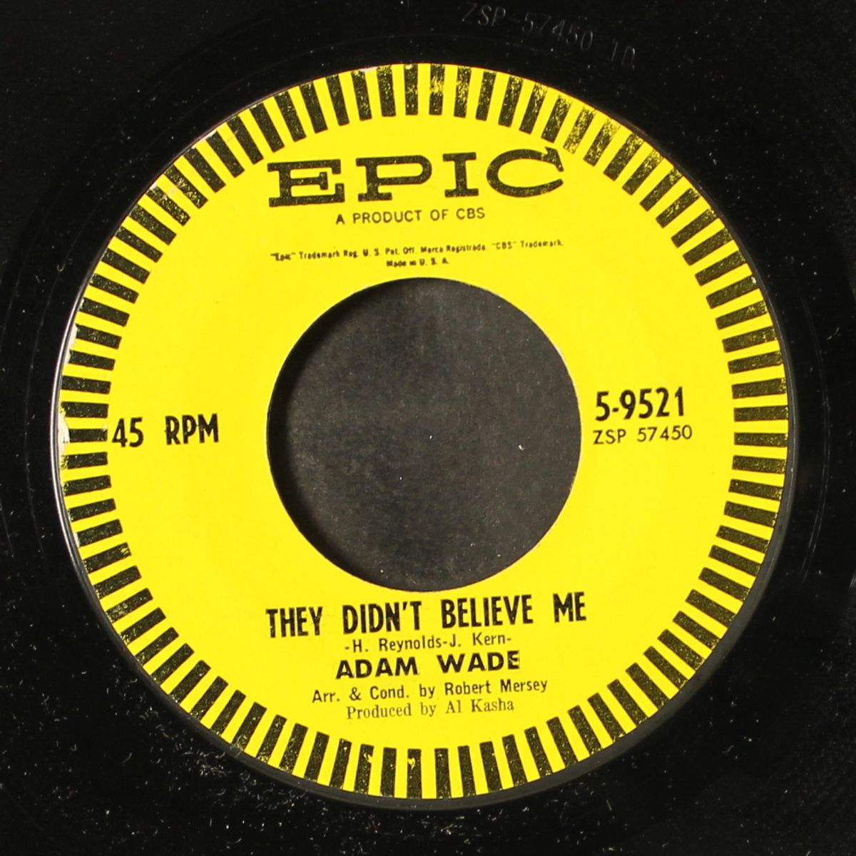 i'm climbin' / they didn't believe me by ADAM WADE