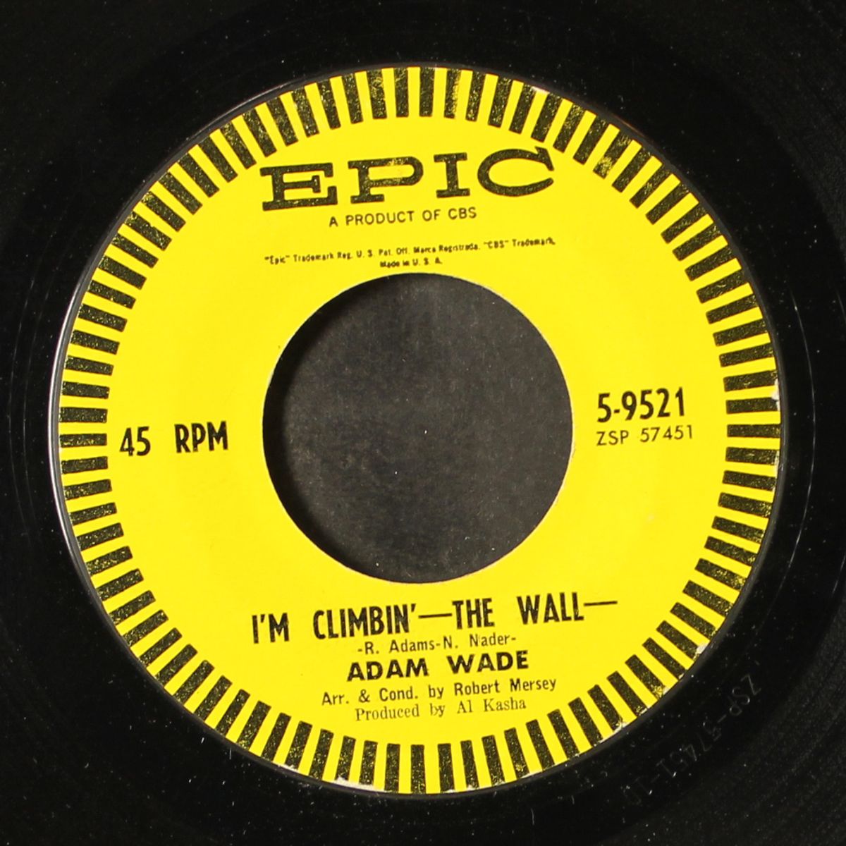 i'm climbin' / they didn't believe me by ADAM WADE