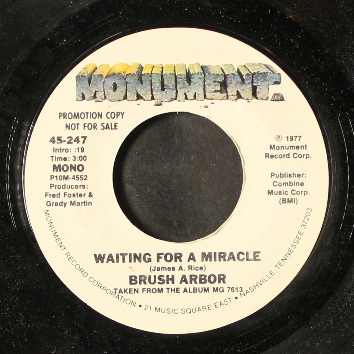 waiting for a miracle / mono by BRUSH ARBOR