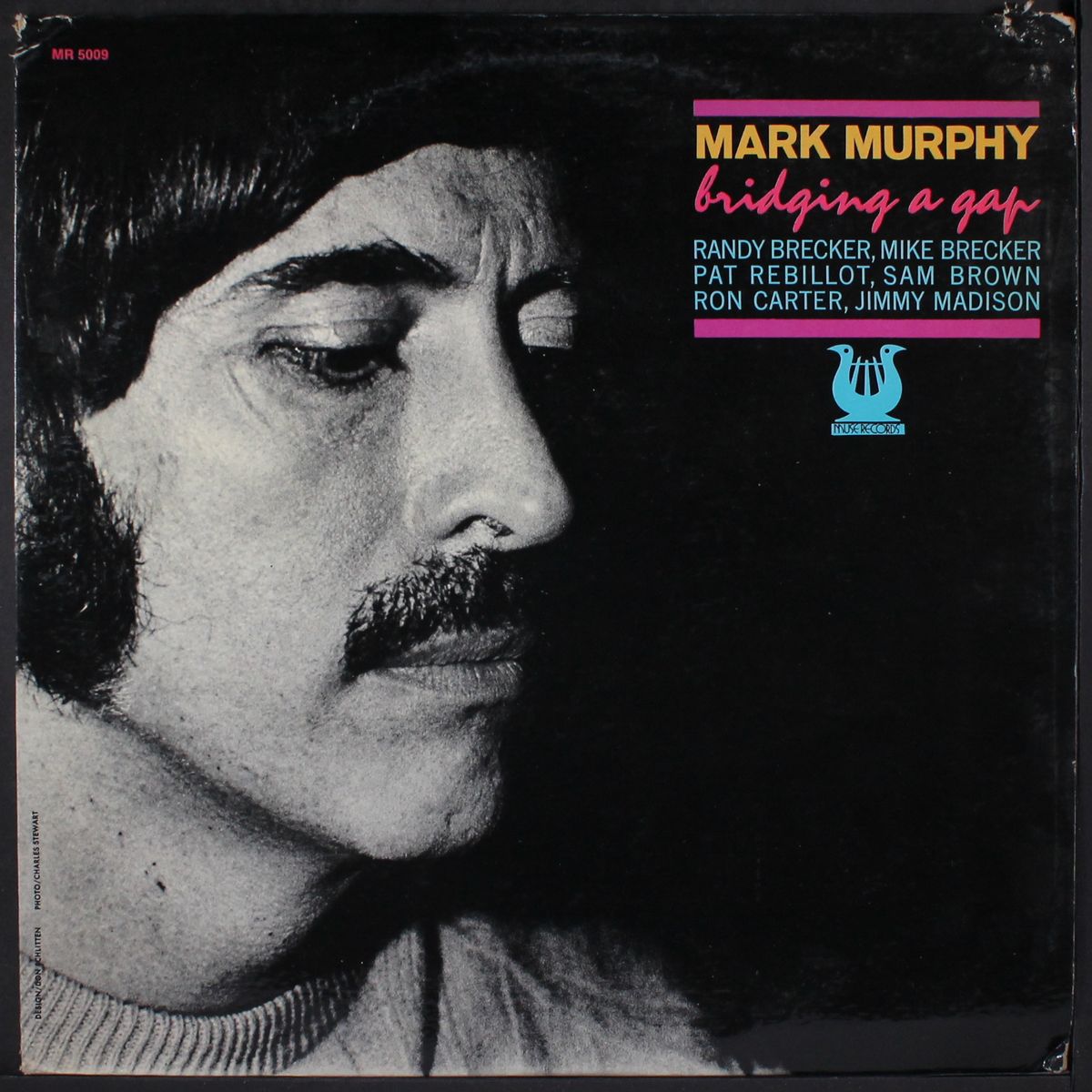 bridging a gap by MARK MURPHY