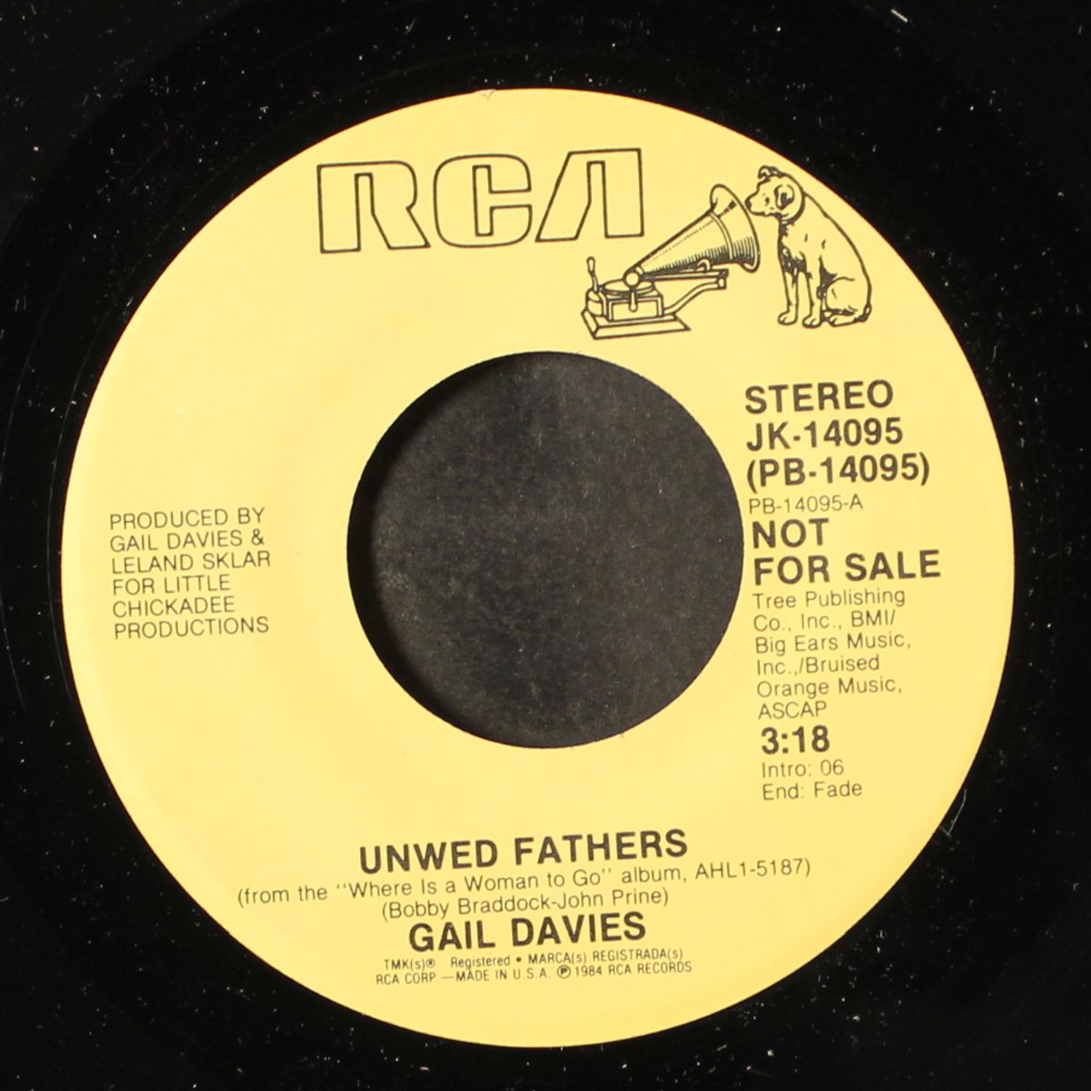 unwed fathers / same by GAIL DAVIES