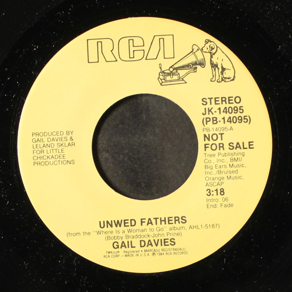 unwed fathers / same by GAIL DAVIES