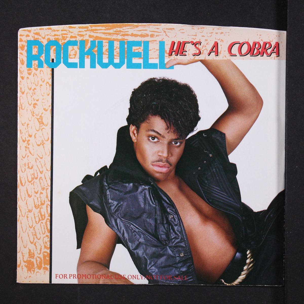 he's a cobra by ROCKWELL