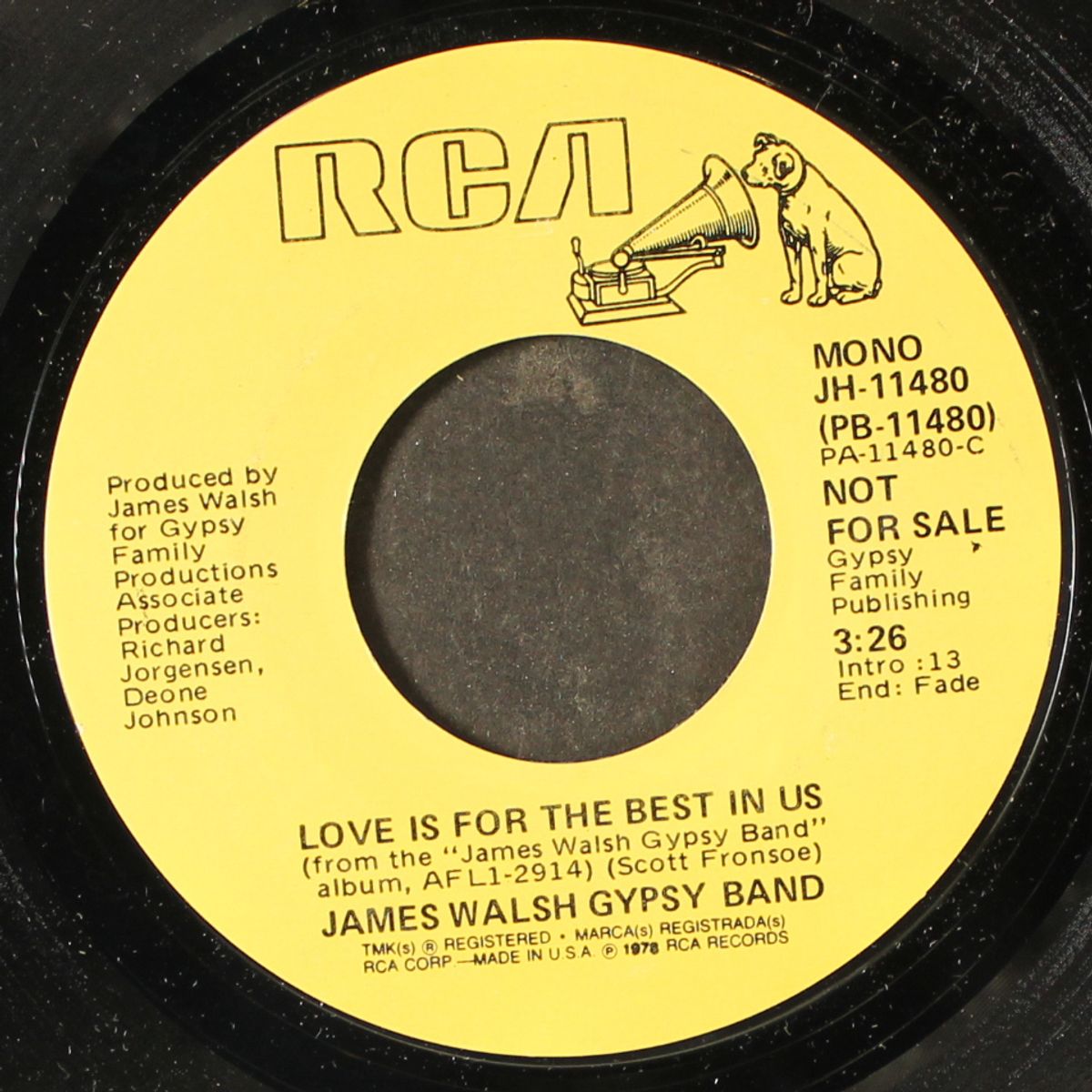 love is for the best in us / mono by JAMES WALSH GYPSY BAND