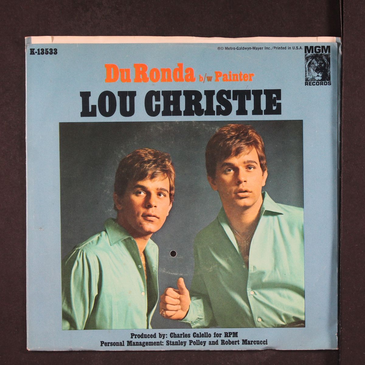painter by LOU CHRISTIE