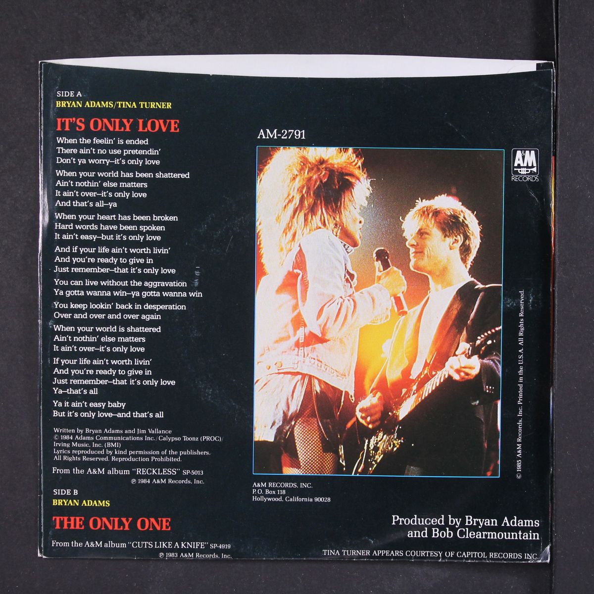it's only love by BRYAN ADAMS & TINA TURNER