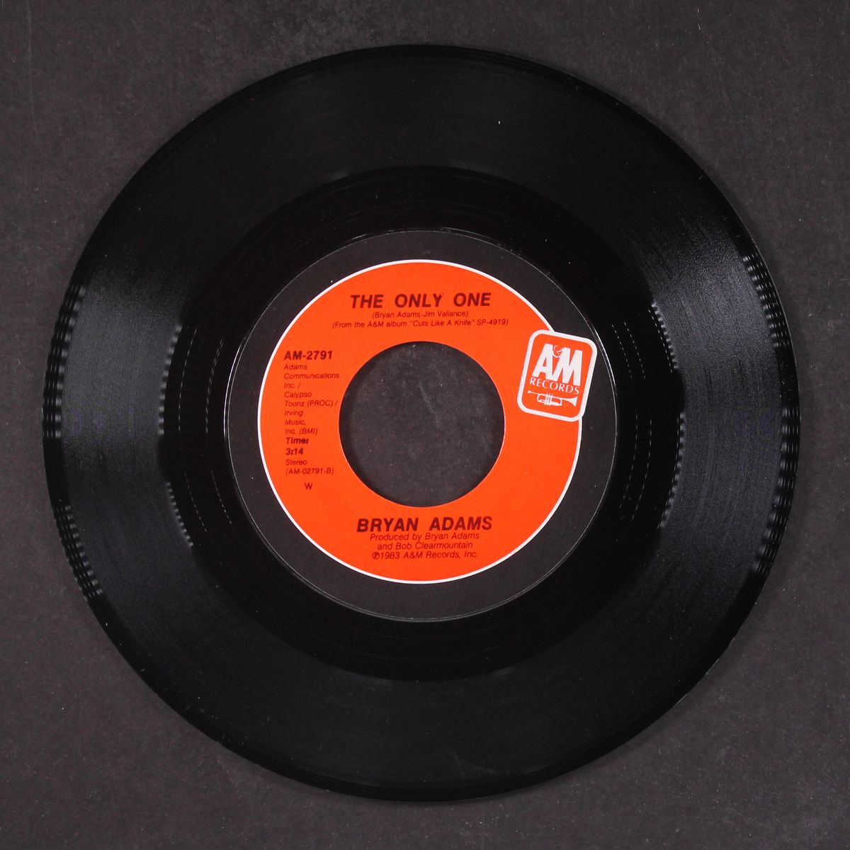 it's only love by BRYAN ADAMS & TINA TURNER