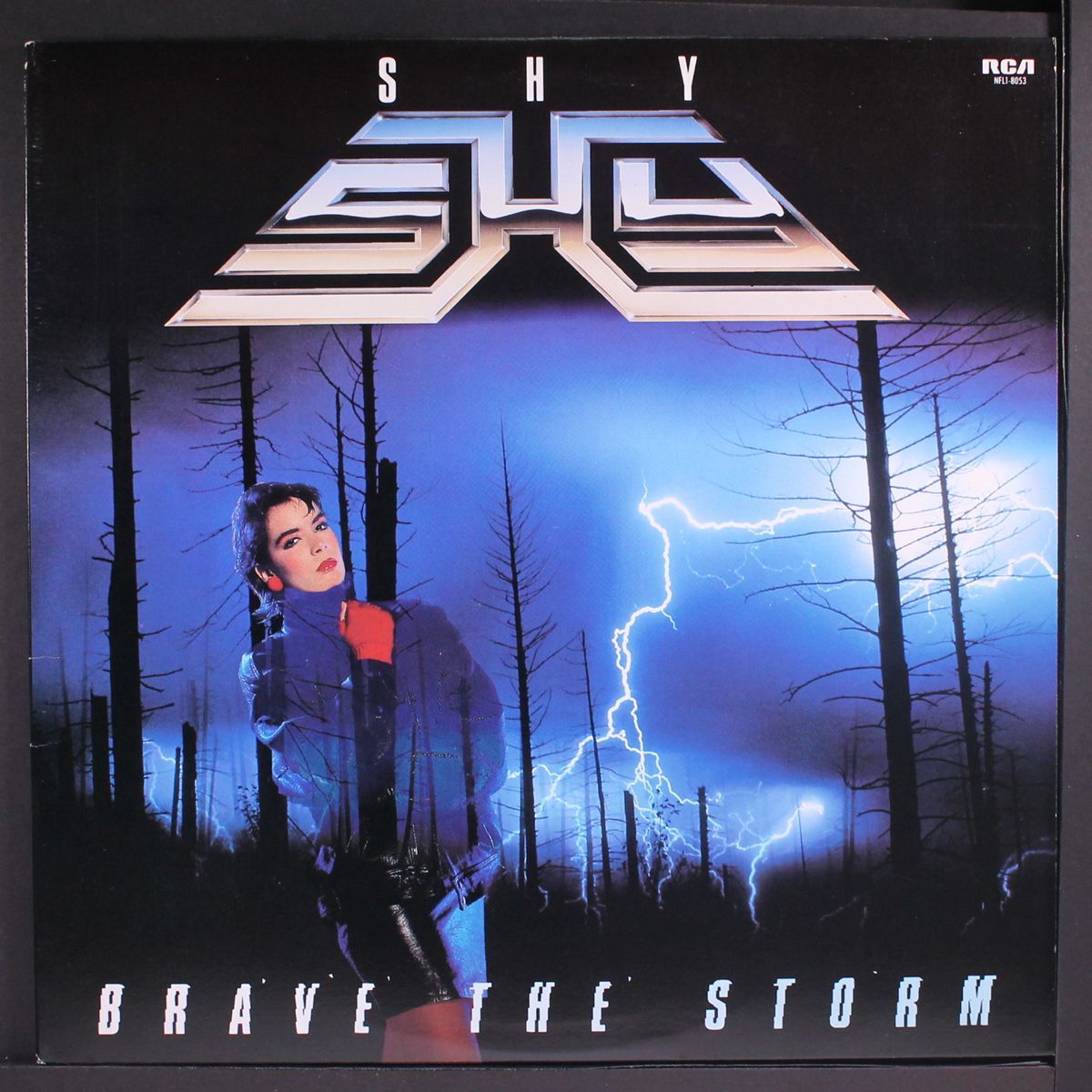 brave the storm by SHY