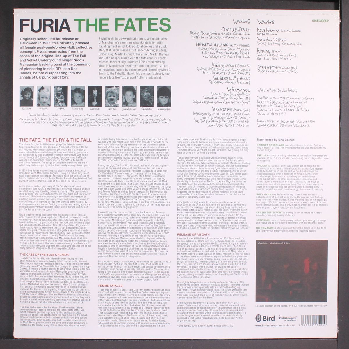 furia by FATES