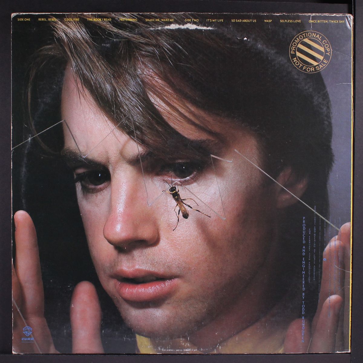 wasp by SHAUN CASSIDY