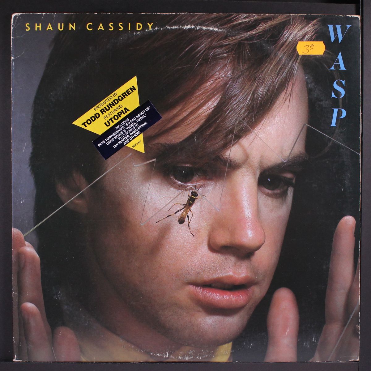 wasp by SHAUN CASSIDY