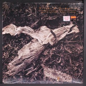 DAVID SYLVIAN & HOLGER CZUKAY