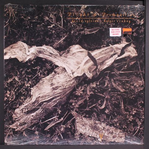 DAVID SYLVIAN & HOLGER CZUKAY