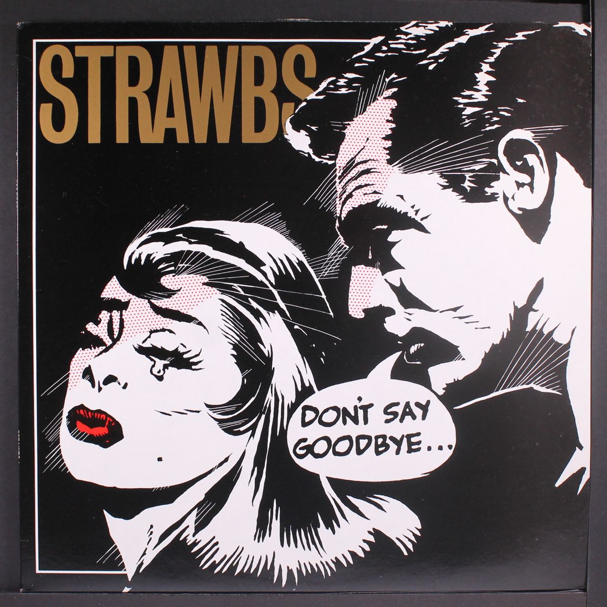 don't say goodbye by STRAWBS