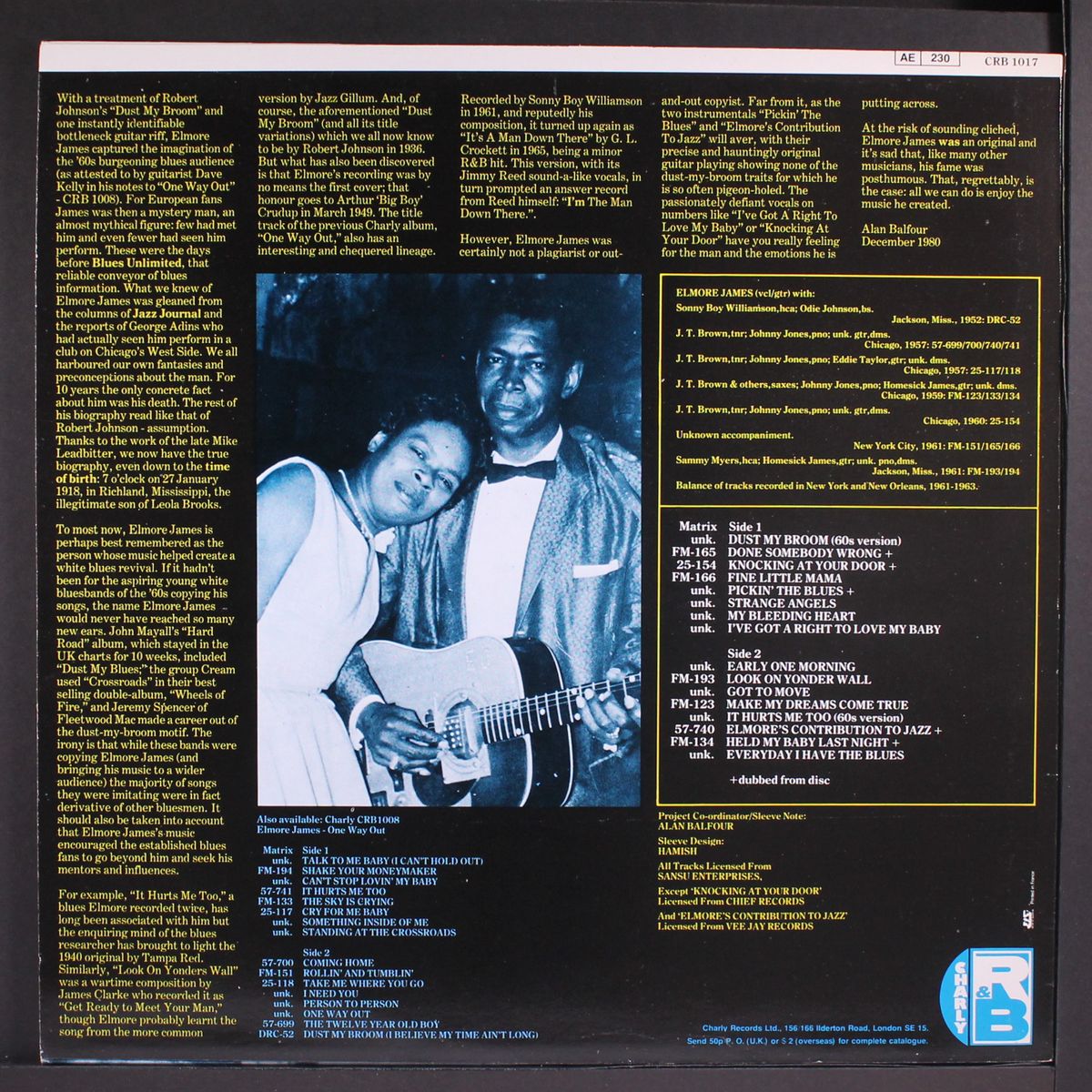 got to move by ELMORE JAMES