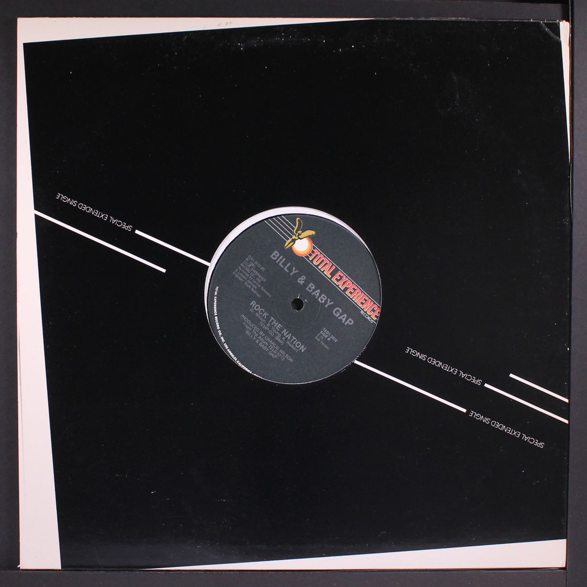 rock the nation / dub by BILLY & BABY GAP