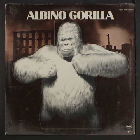 ALBINO GORILLA