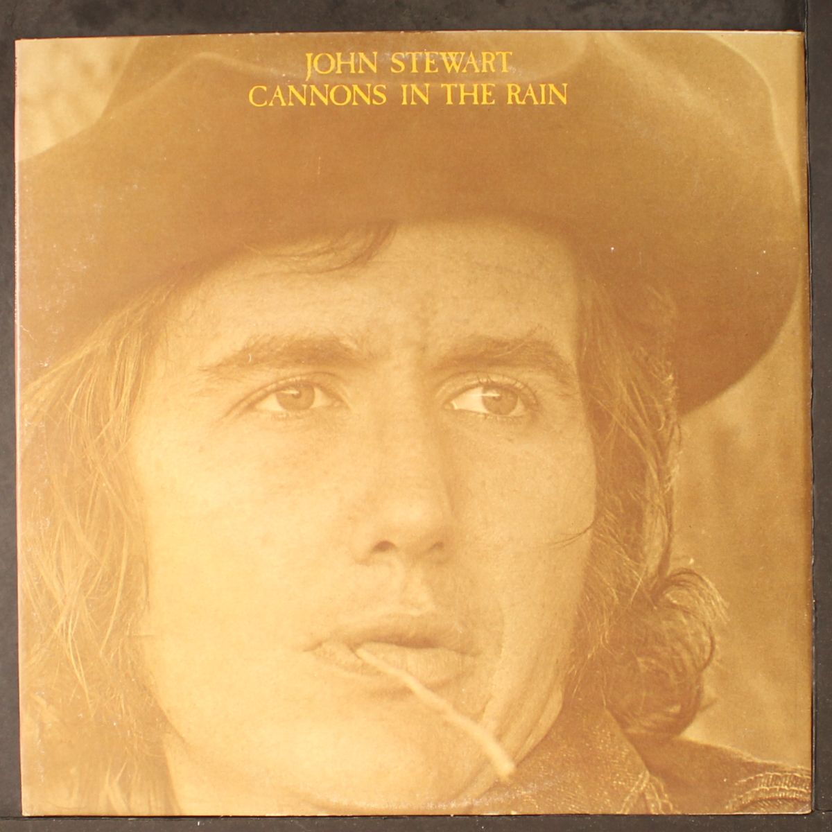 cannons in the rain by JOHN STEWART