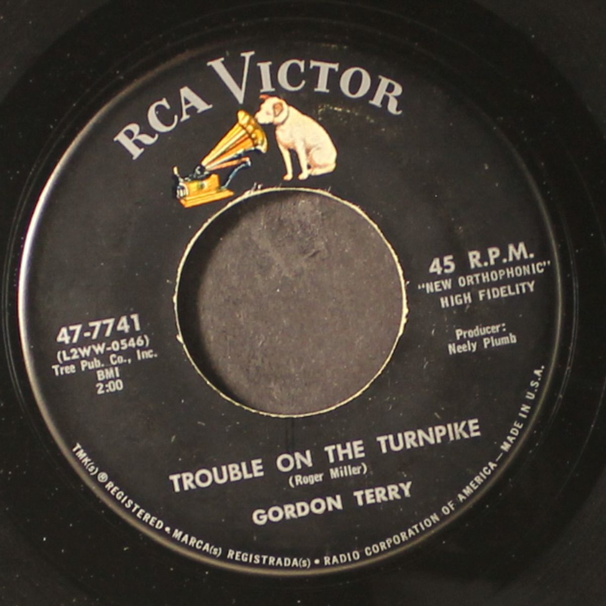 trouble on the turnpike / almost alone by GORDON TERRY