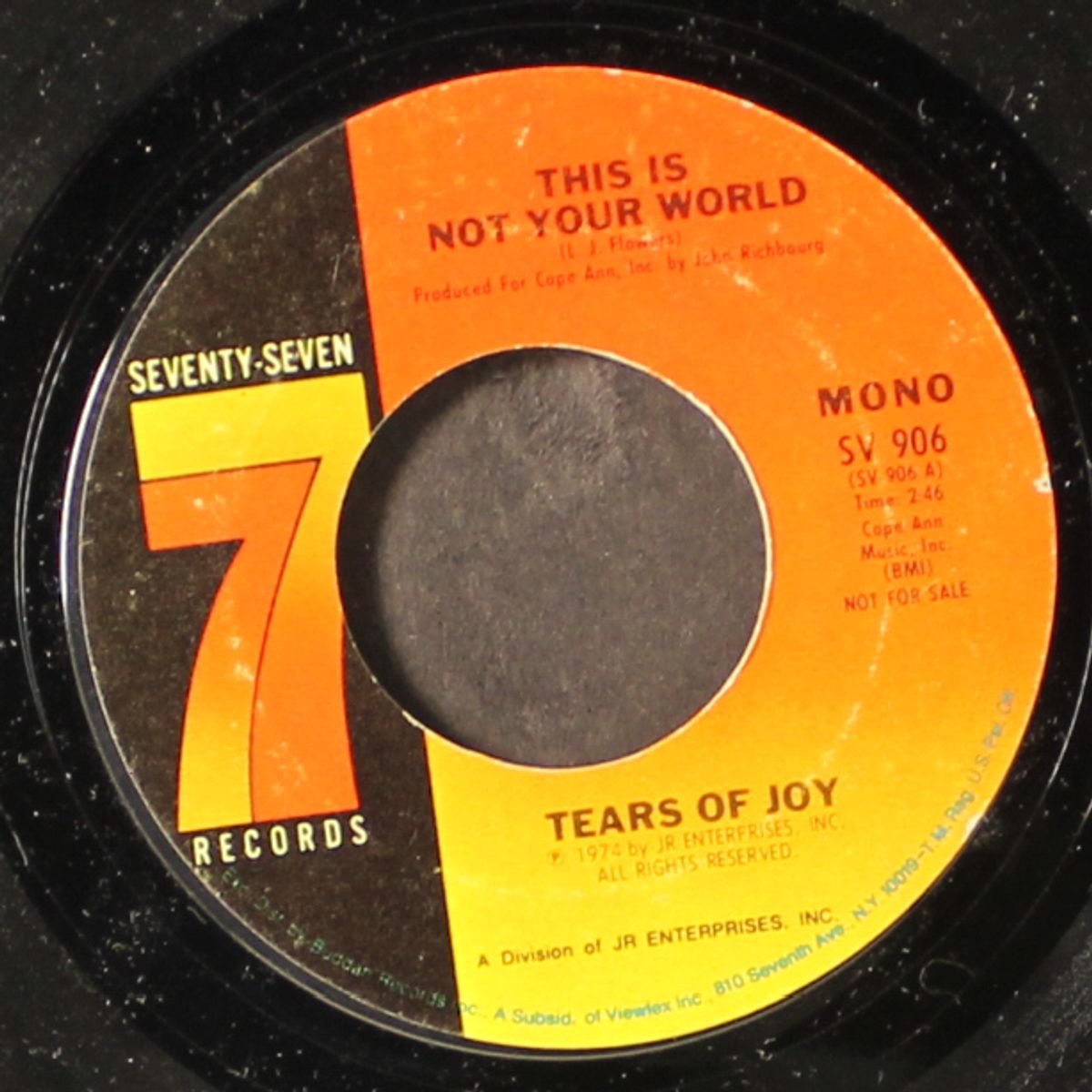 this is not your world / mono by TEARS OF JOY