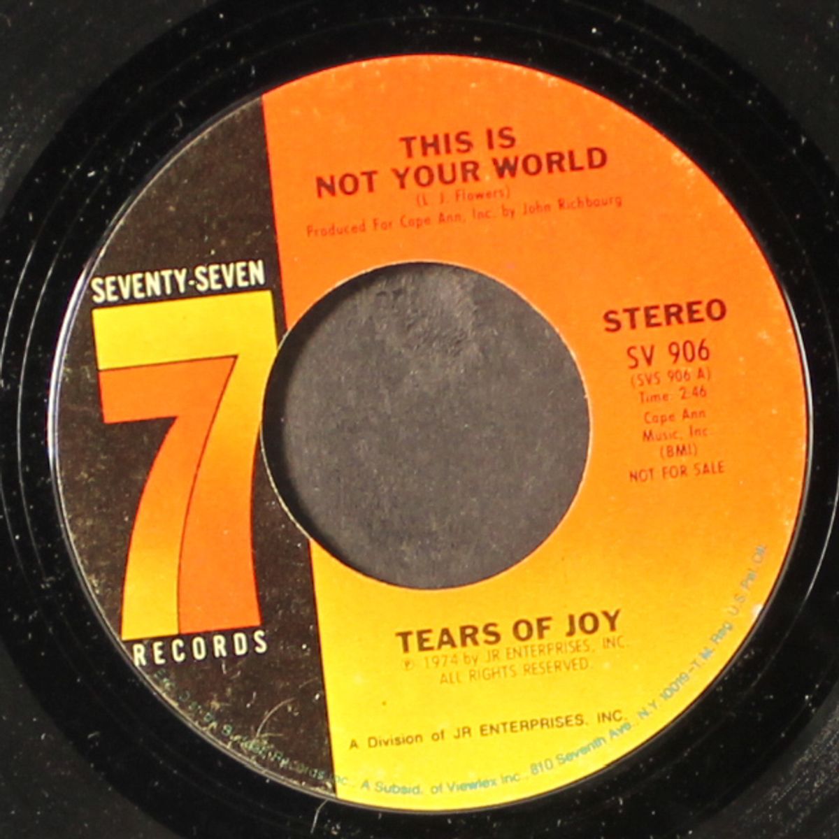 this is not your world / mono by TEARS OF JOY