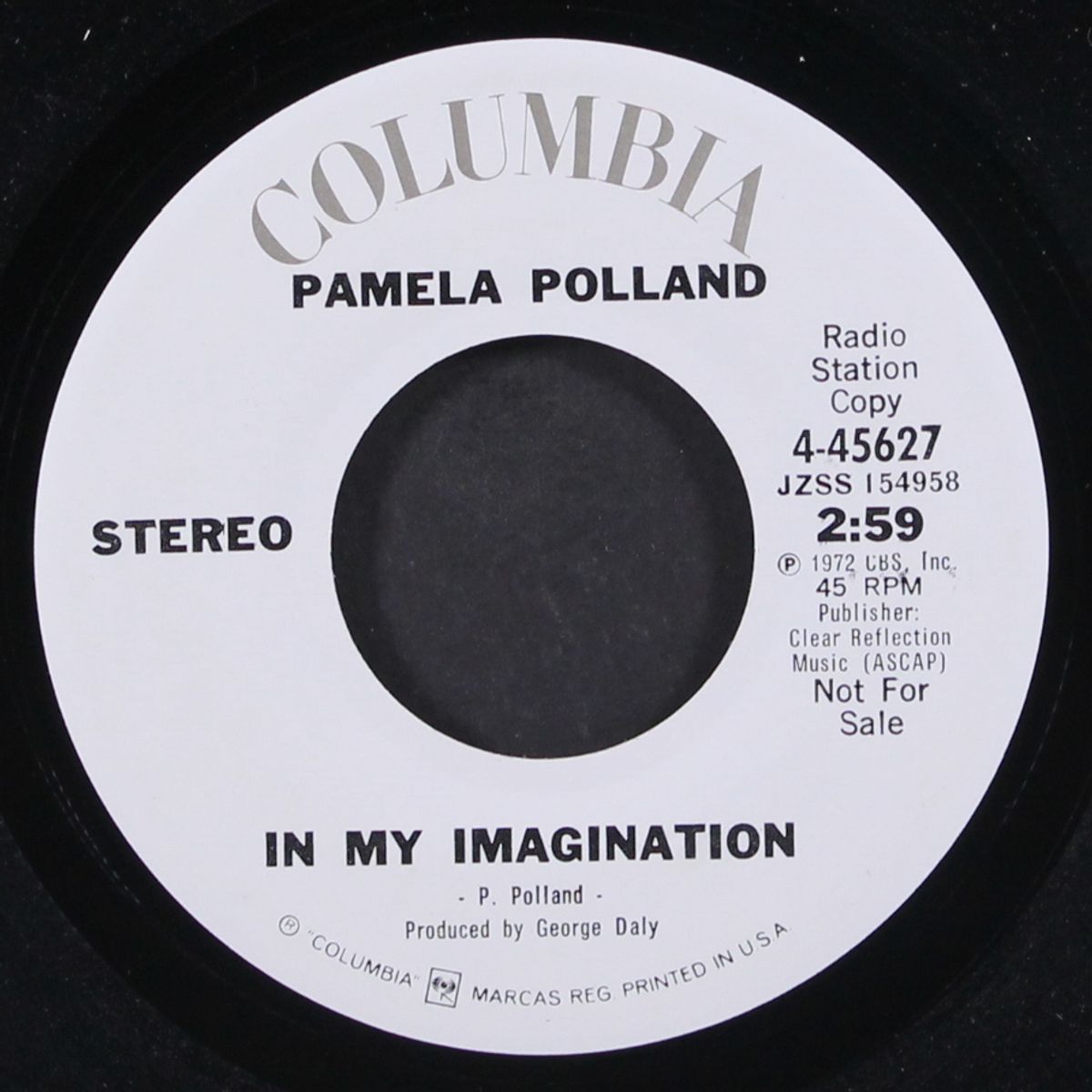 in my imagination / mono by PAMELA POLLAND