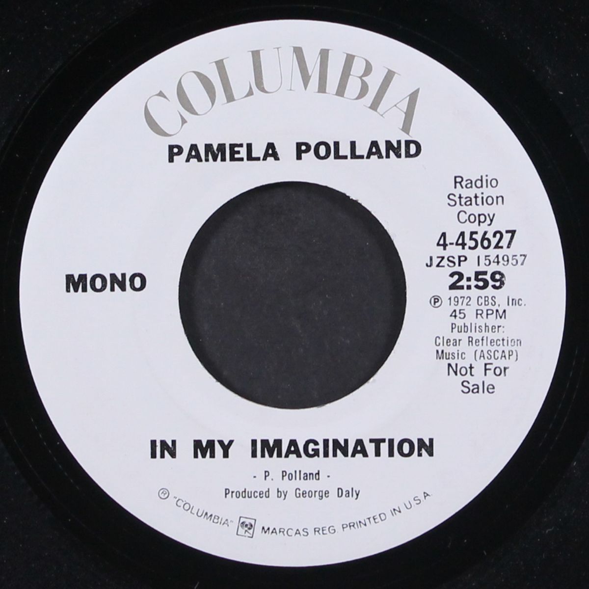 in my imagination / mono by PAMELA POLLAND
