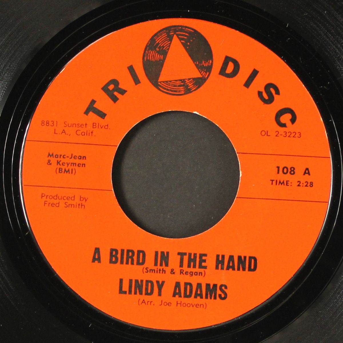 a bird in the hand by LINDY ADAMS