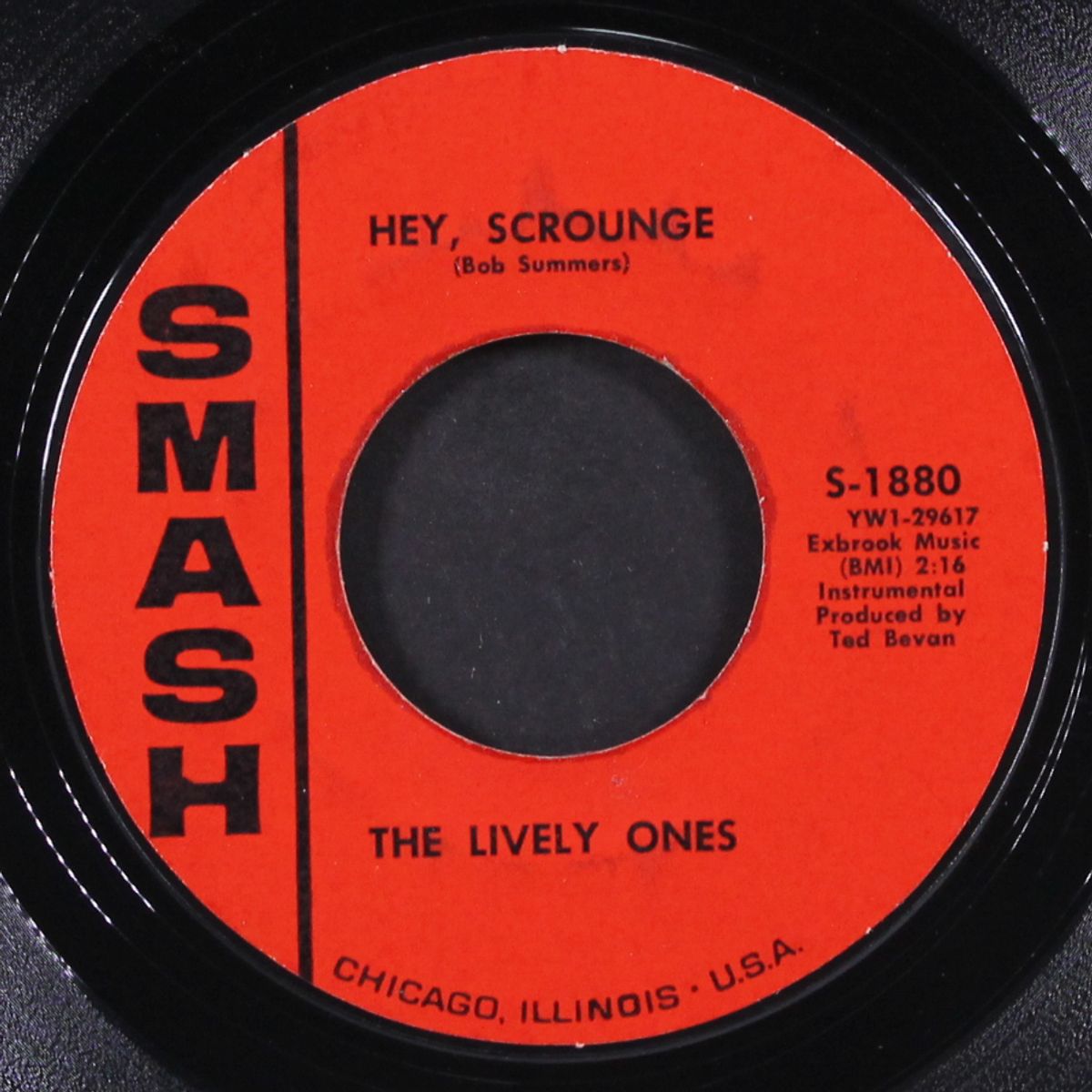 hey, scrounge / night and day by LIVELY ONES