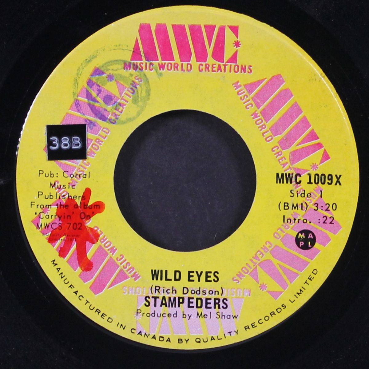 wild eyes / carryin' on by STAMPEDERS