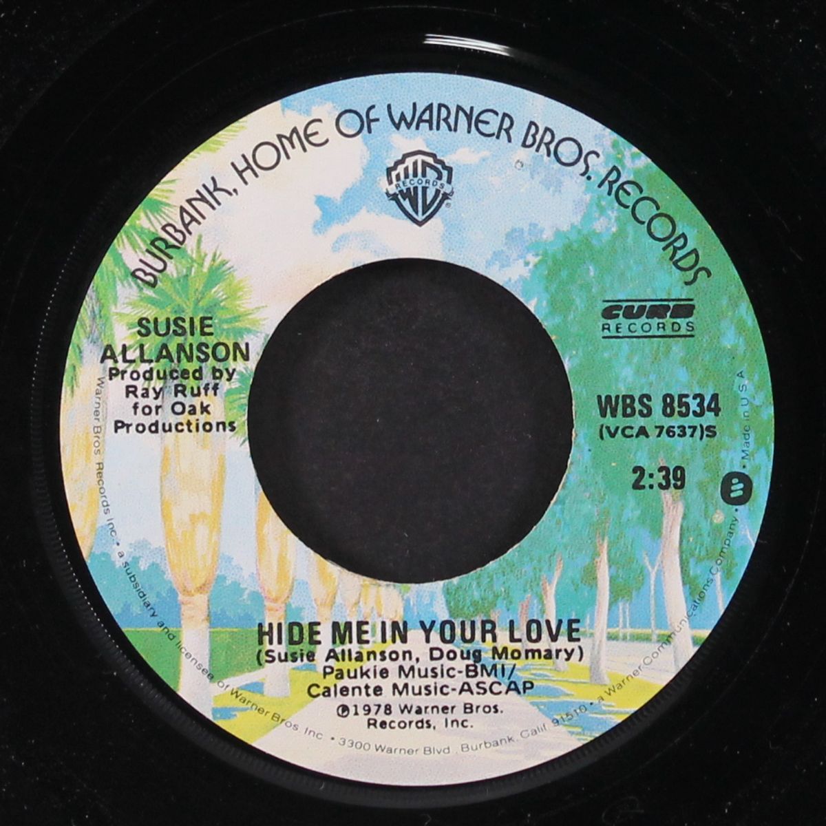 maybe baby / hide me in your love by SUSIE ALLANSON