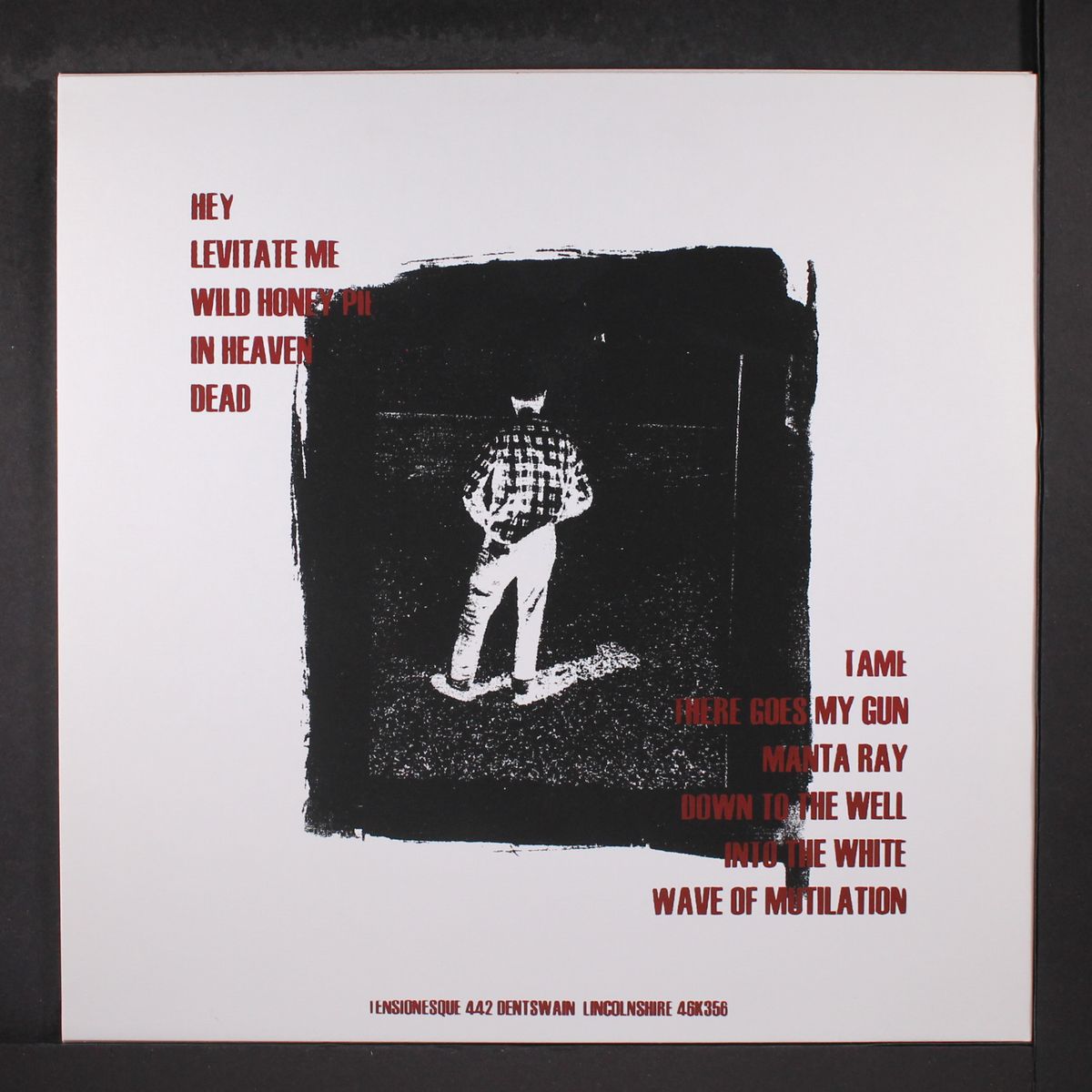 into the white: bbc recordings from 1988 & 1989 by PIXIES