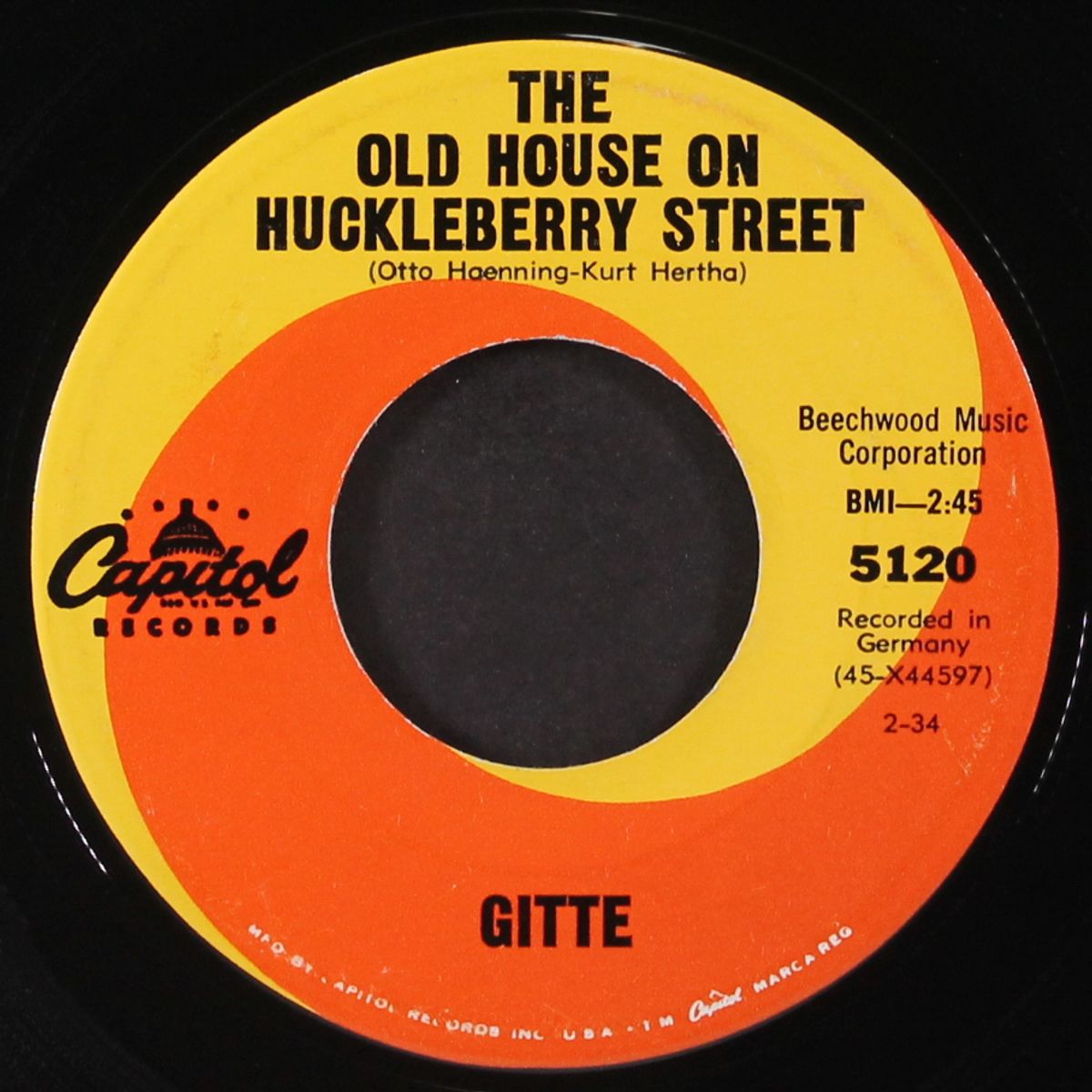 i want to marry a cowboy / the old house on huckleberry street by GITTE