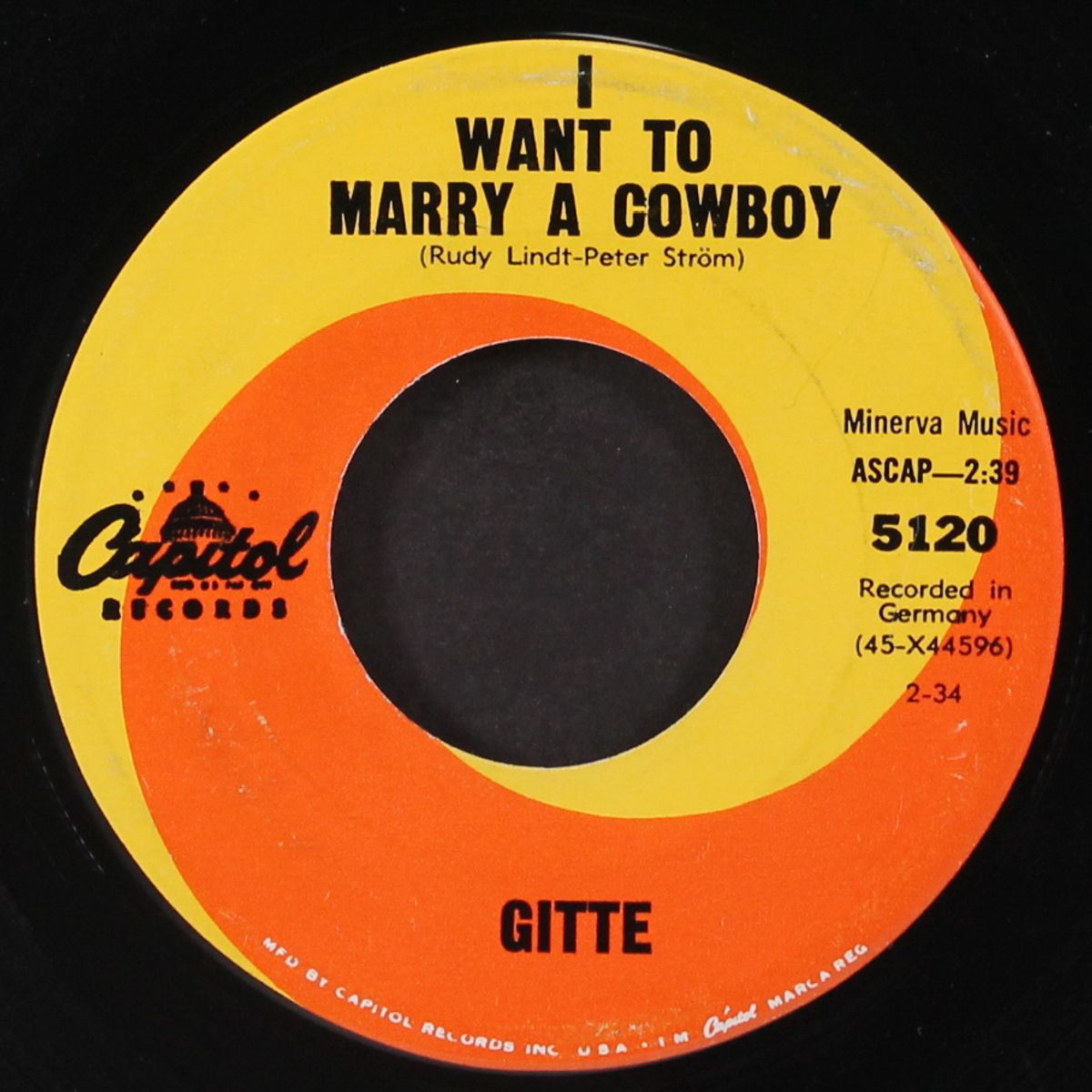 i want to marry a cowboy / the old house on huckleberry street by GITTE